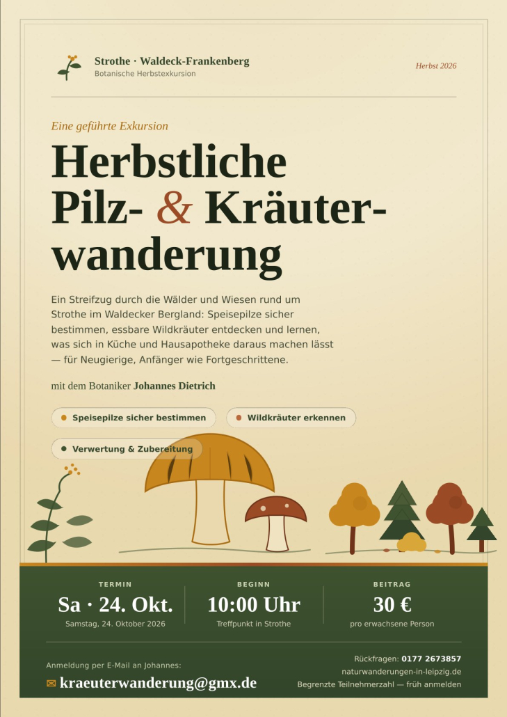 Plakat_Pilz-Kraeuterwanderung_24-10